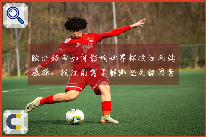 欧洲赔率如何影响世界杯投注网站选择，投注前需了解哪些关键因素？