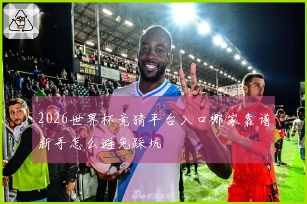2026世界杯竞猜平台入口哪家靠谱新手怎么避免踩坑